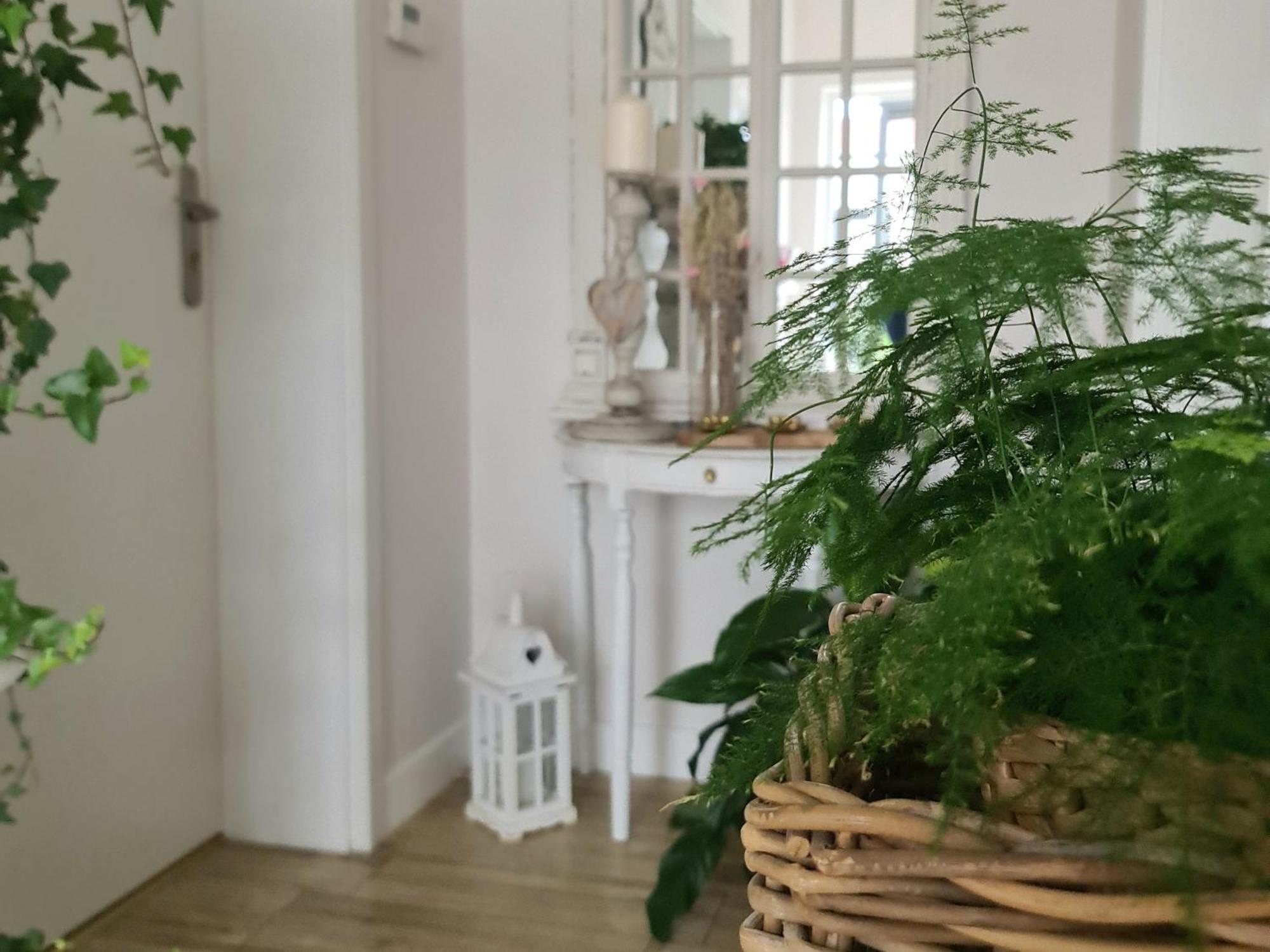 Apartamenty "La Villa" Z Klimatyzacja, Ogrodem, Parkingiem, Blisko Centrum Kudowa-Zdrój Exteriör bild